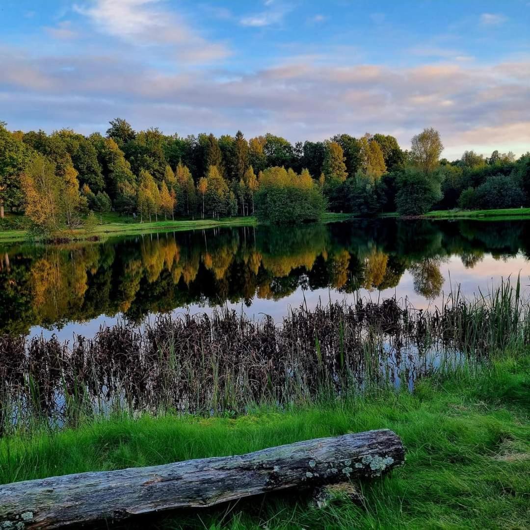 Tallhoejden Hotel & Cottage Lodge Simlångsdalen Dış mekan fotoğraf